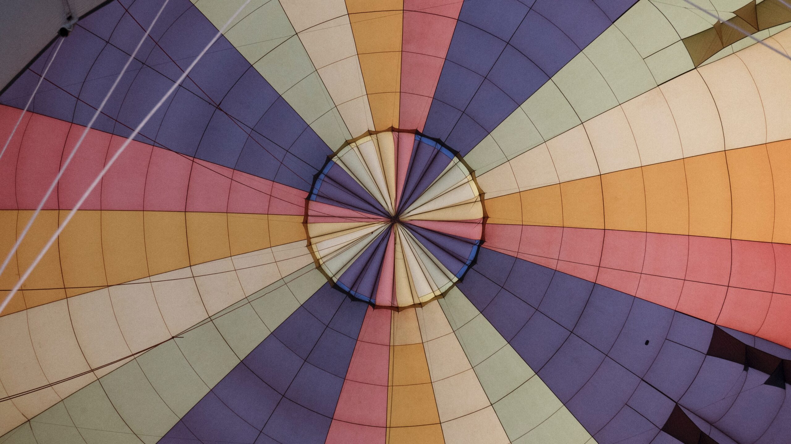 Advertising Wisely: The Art of Dodging Confirmation Bias image